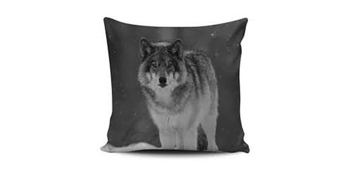 Pillow Cover